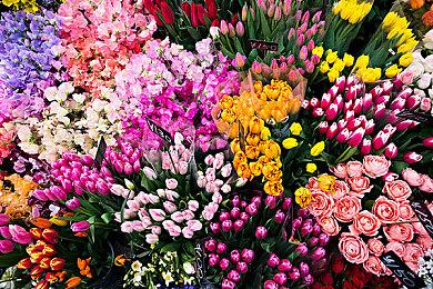 卡普空发布会汇总：《龙之信条2》全新实机预告